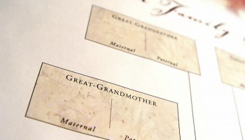 Section of a family tree regarding great grandparents.